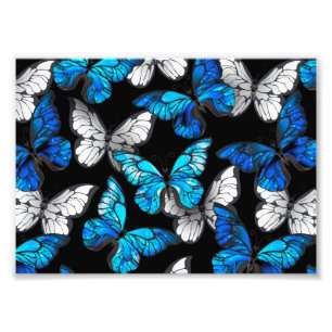 Impression Photo Motif sans couleur foncée avec papillons bleus Mor
