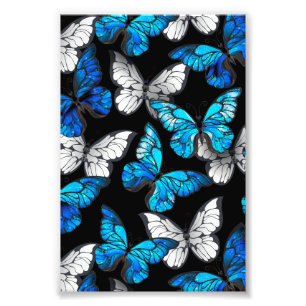 Impression Photo Motif sans couleur foncée avec papillons bleus Mor