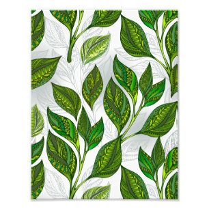 Impression Photo Motif sans couture avec Feuilles de thé vert