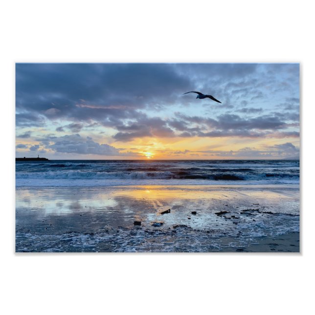 Impression Photo Mouette au coucher du soleil - Venice Beach, CA (Devant)