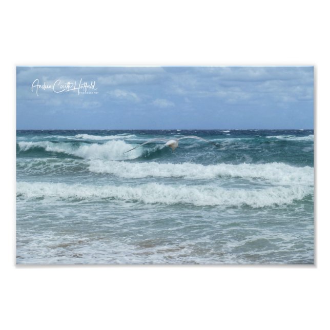 Impression Photo Mouette et Mer (Devant)