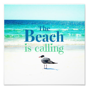 Impression Photo Mouette sur la plage