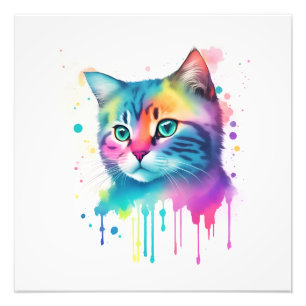 Impression Photo Mur de chat coloré
