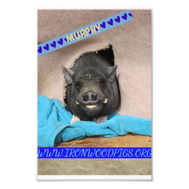 Impression Photo Murphy avec sa couverture bleue confortable imprim (Devant)