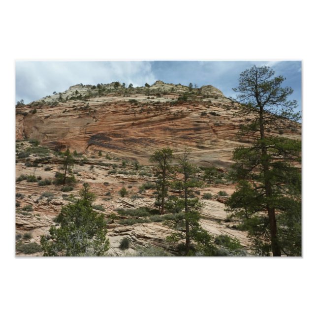 Impression Photo Murs de roche usés dans le parc national de Zion (Devant)