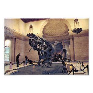 Impression Photo Musée d'Histoire Naturelle de Los Angeles 