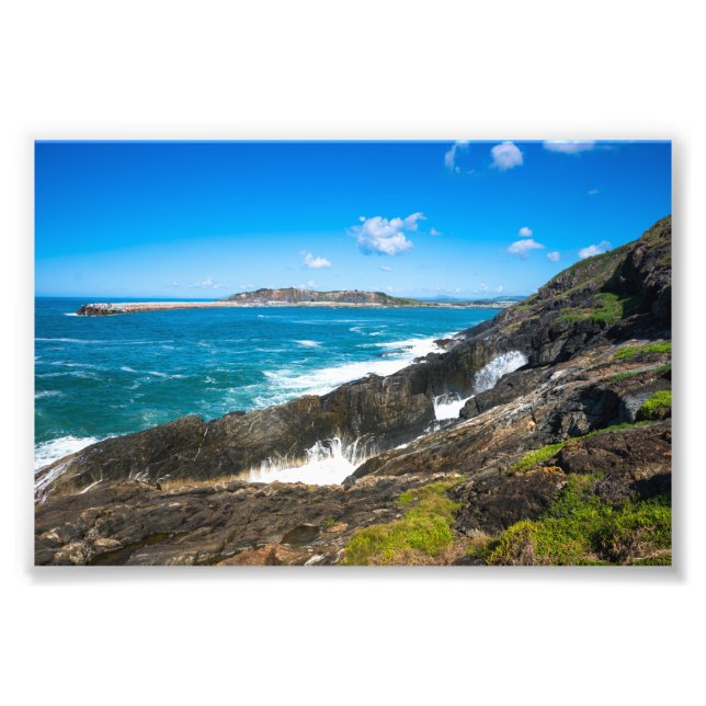 Impression Photo Mutton oiseau île mer Australie (Devant)