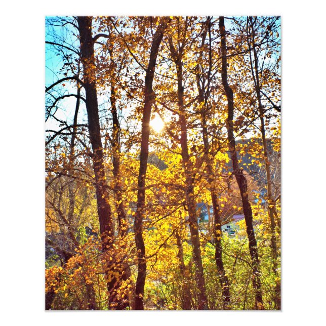 Impression Photo my view (Devant)