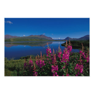 Impression Photo N.A., États-Unis, Alaska, Alaska Range Common