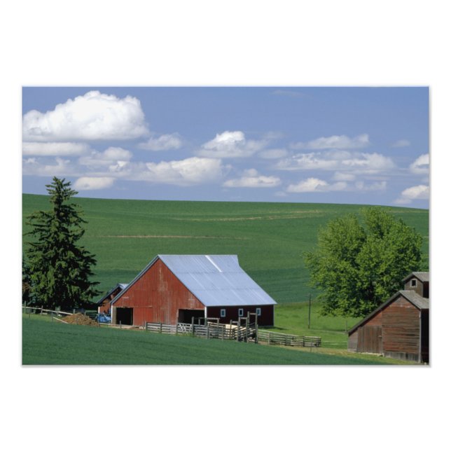 Impression Photo N.A., États-Unis, Idaho, comté de Latah près de Ge (Devant)