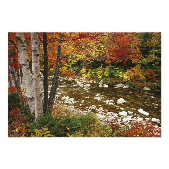 Impression Photo N.A., États-Unis, New Hampshire, White Mountains, (Devant)
