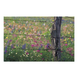 Impression Photo N.A, États-Unis, Texas, Lytle, Poteau de clôture e