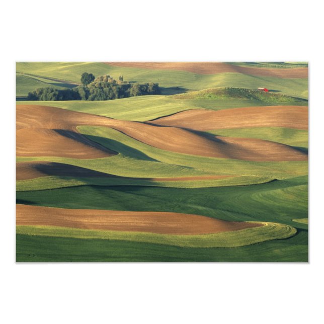 Impression Photo N.A., États-Unis, Washington, comté de Whitman. (Devant)
