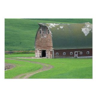 Impression Photo N.A., États-Unis, Washington, comté de Whitman. An