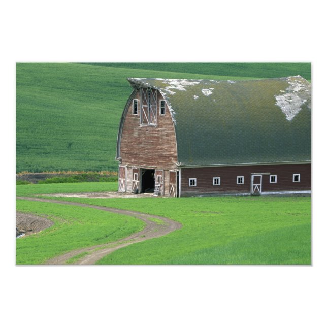 Impression Photo N.A., États-Unis, Washington, comté de Whitman. An (Devant)
