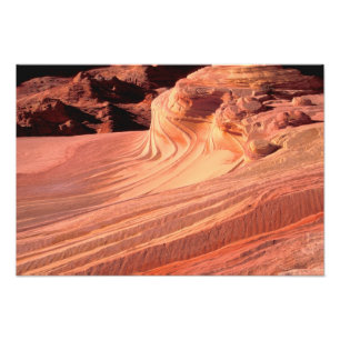 Impression Photo NA, États-Unis, Utah, Vermillion Cliffs. Coyote Bu