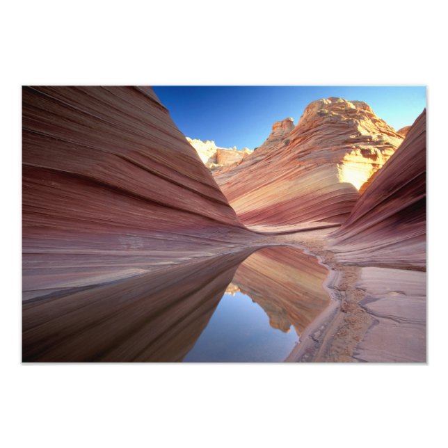 Impression Photo NA, États-Unis, Utah, Vermillion Cliffs. Coyote Bu (Devant)