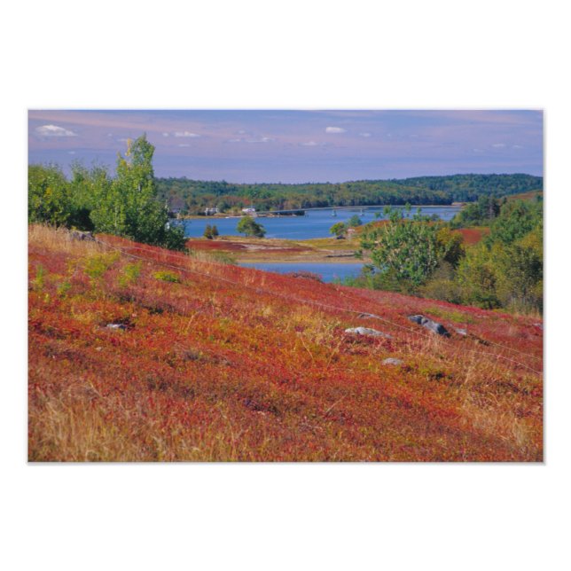 Impression Photo NA, USA, Maine. Blueberry Barrens. (Devant)