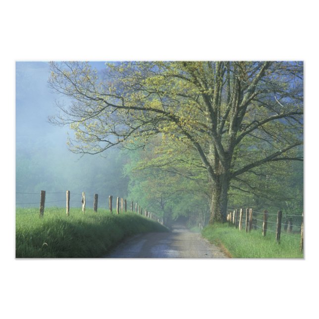 Impression Photo NA, USA, Tennessee, Cades Cove, Great Smoky (Devant)