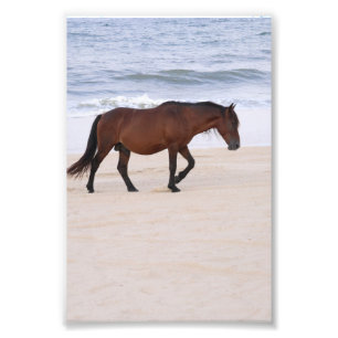 Impression Photo Nag sur la plage, Outer Banks Caroline du Nord