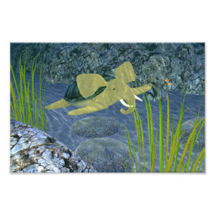 Impression Photo Natation Turphant