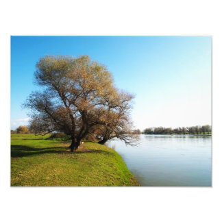 Impression Photo nature