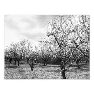 Impression Photo nature