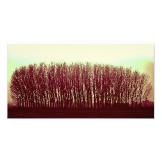 Impression Photo nature