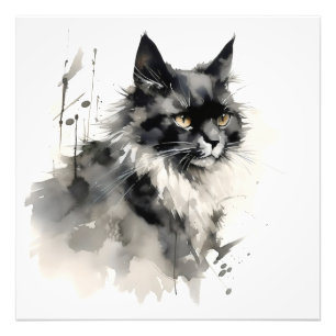 Impression Photo Nature Enk Peinture Chat