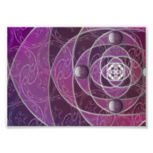 Impression photo Nautilina