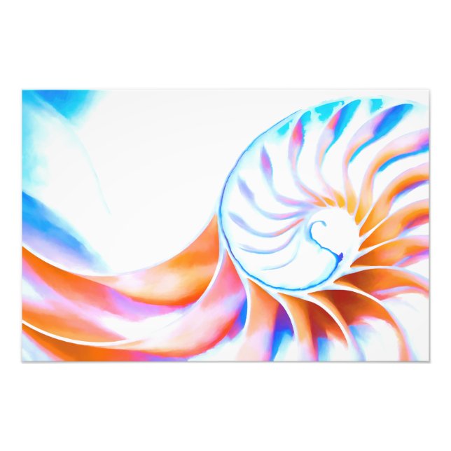 Impression Photo Nautilus coloré (Devant)