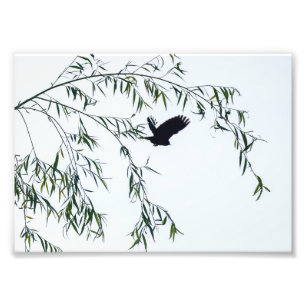 Impression Photo Ne pars pas