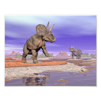 Impression Photo Nedoceratops/dicératops dinosaures dans la nature
