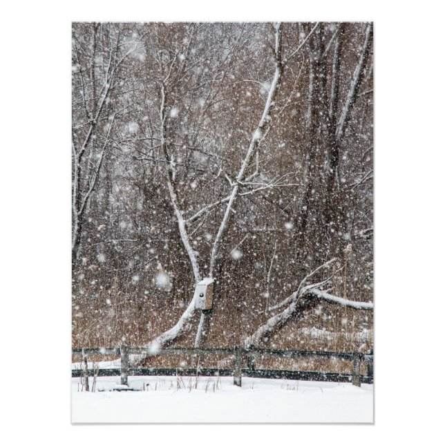 Impression Photo Neige Au Parc (Devant)