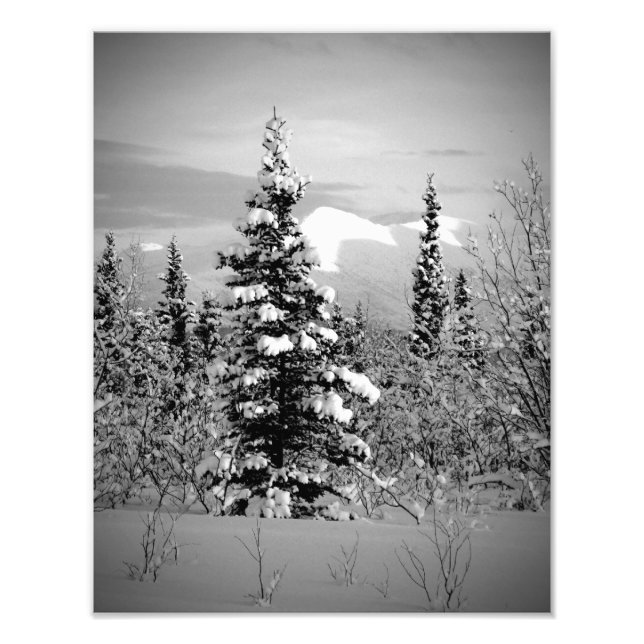 Impression Photo Neige d'hiver (Devant)