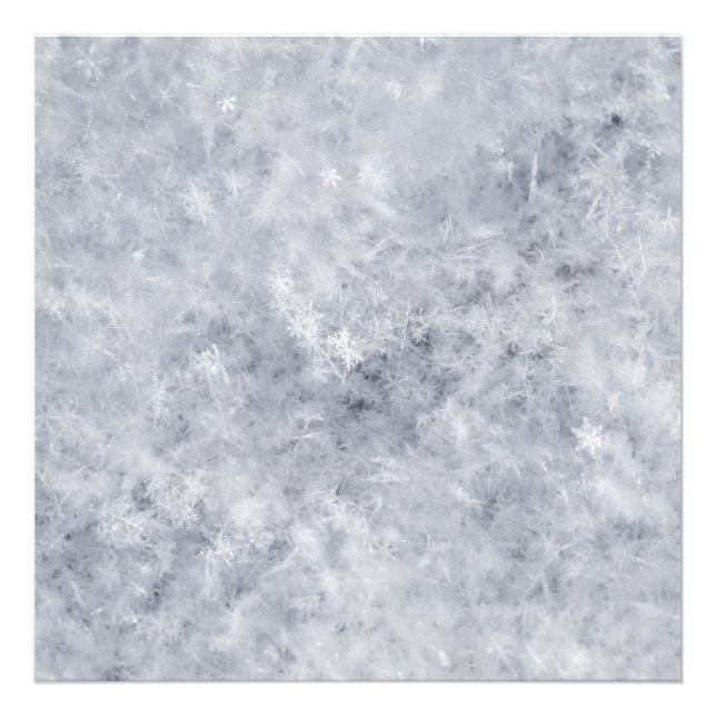 Impression Photo Noël blanc neige (Devant)