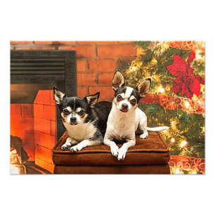 Impression Photo Noël Chihuahua