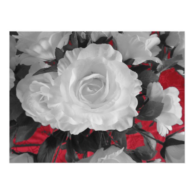 Impression Photo noir blanc rouge roses classique (Devant)