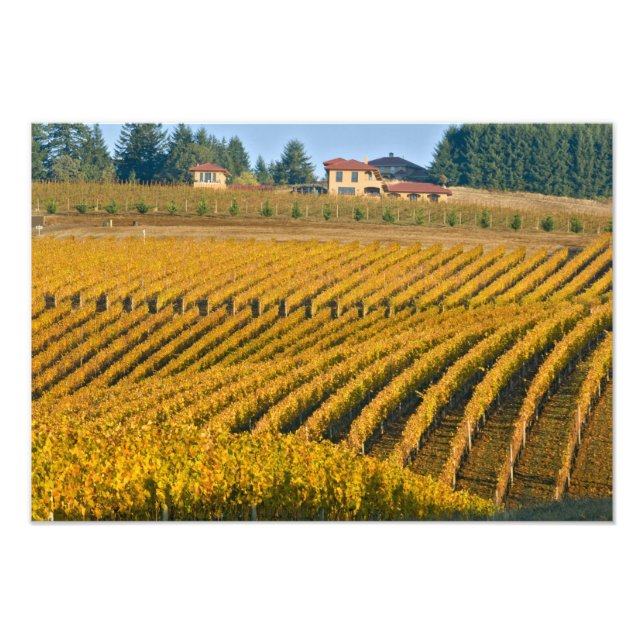 Impression Photo Noir Walnut Inn, d'apparence toscane, au-dessus du (Devant)