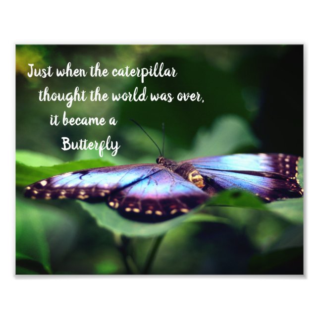 Impression Photo Nouveau début Papillon Inspirational Quote 8x10 (Devant)