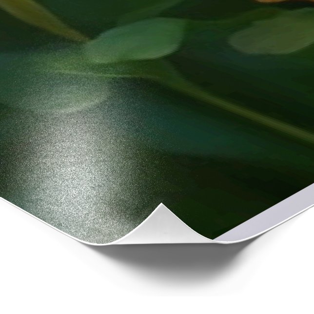 Impression Photo NOUVEAUTÉ ! Peinture d'aquarelle sur la voie flora (Coin)