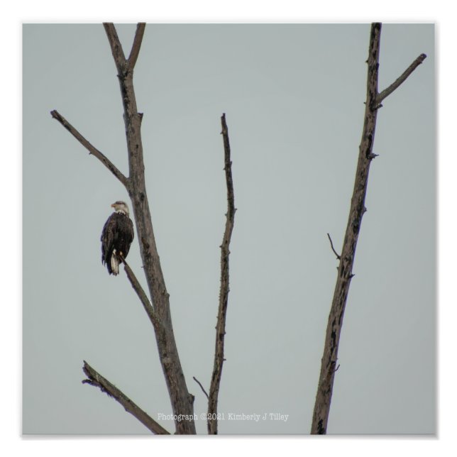 Impression Photo novembre (Devant)