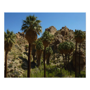 Impression Photo Oasis Lost Palms I dans le Parc national de Joshua