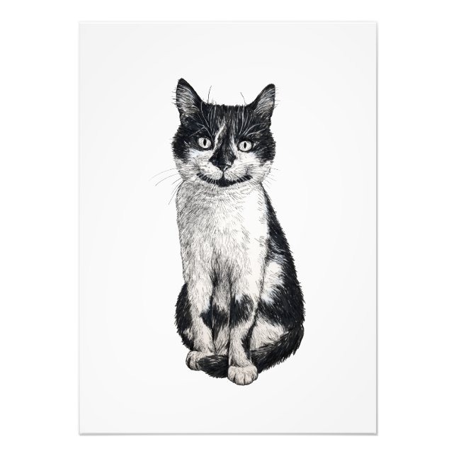 Impression Photo Ogie le chat (Devant)