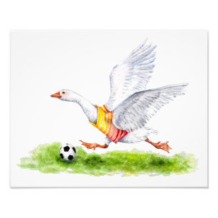 Impression Photo Oie de football