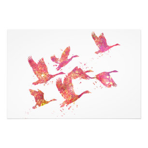 Impression Photo Oies Oiseaux Forêt Sauvage Nature Monde Terre Vol