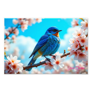 Impression Photo Oiseau bleu azur sur branche de fleurs de cerisier