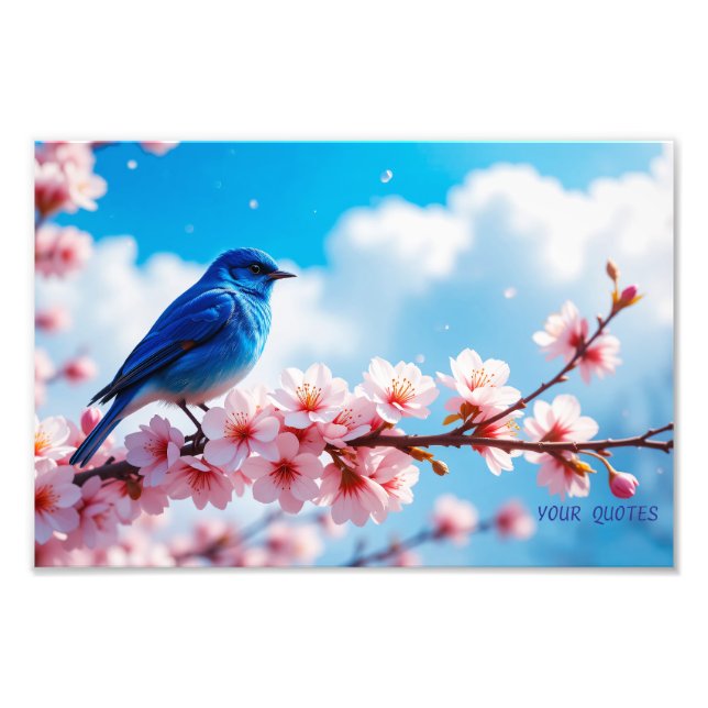 Impression Photo Oiseau bleu sur branche de fleurs de cerisier (Devant)