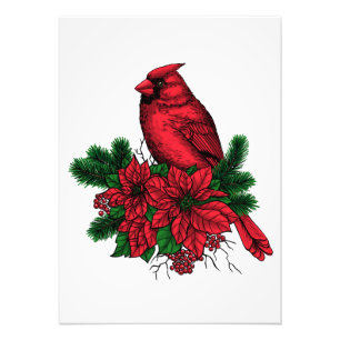 Impression Photo Oiseau cardinal, illustration de Noël