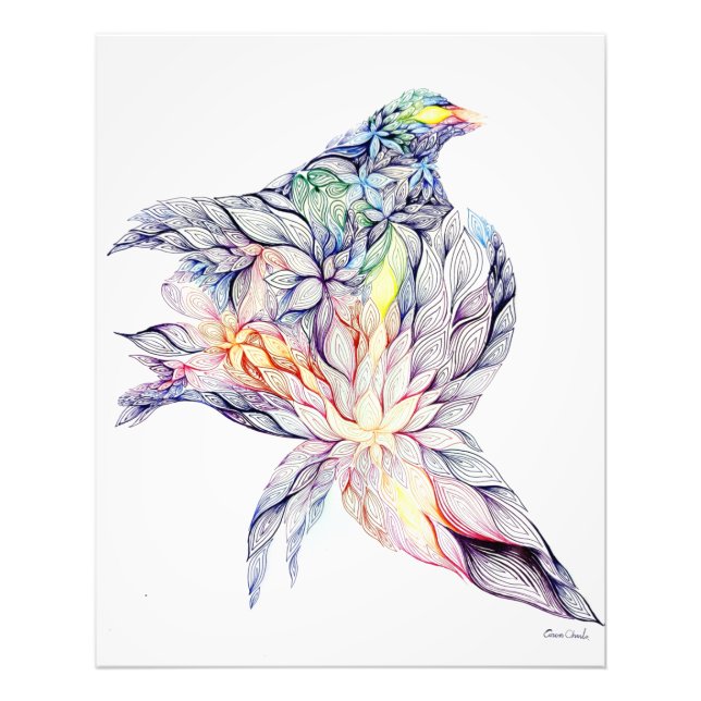 Impression Photo Oiseau dans son nid (Devant)